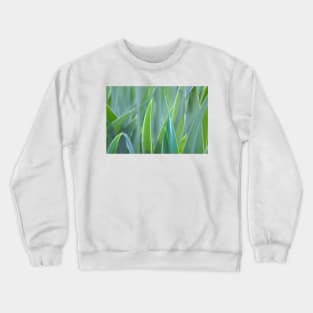 leafy monochrome Crewneck Sweatshirt